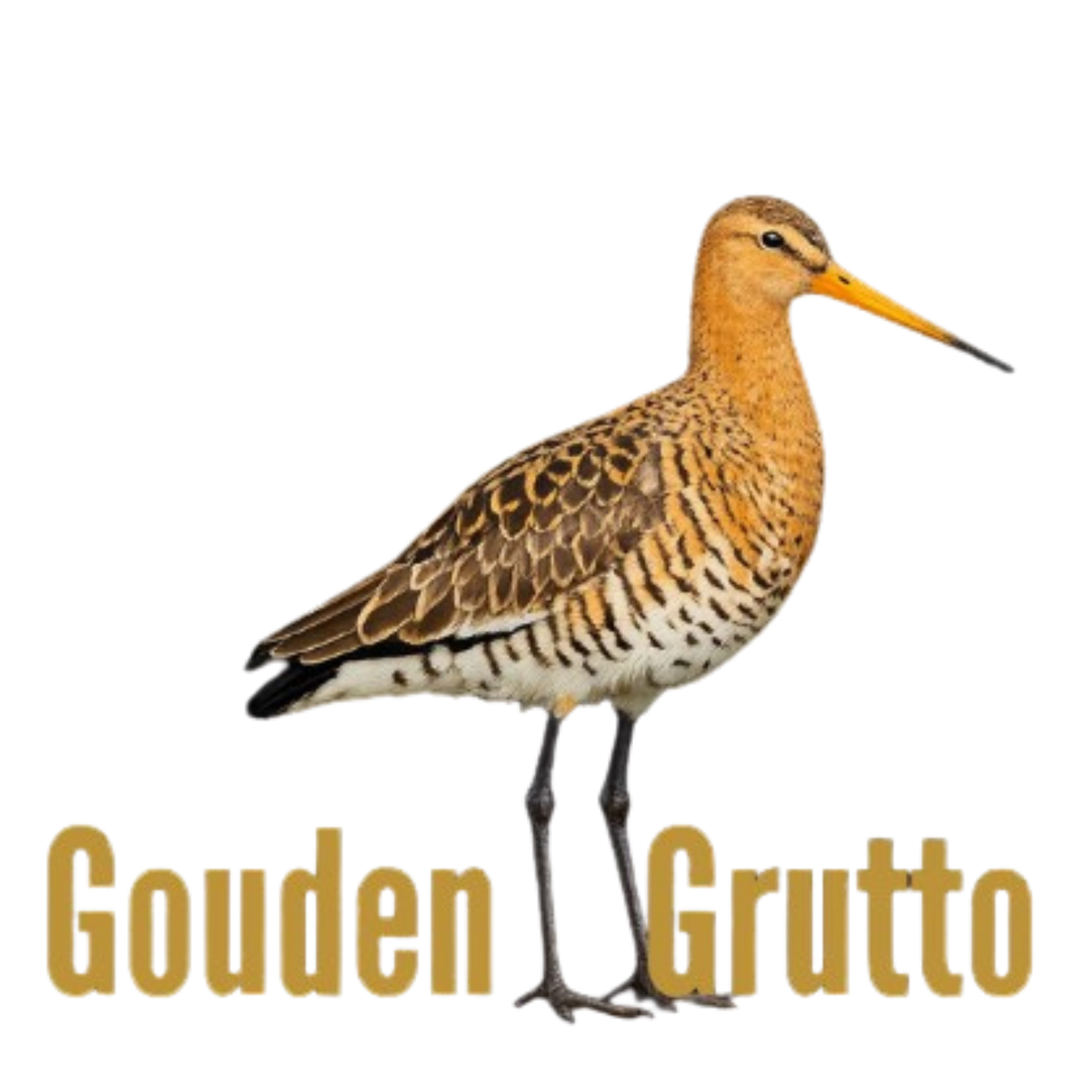 Gouden Grutto 1_1128001301