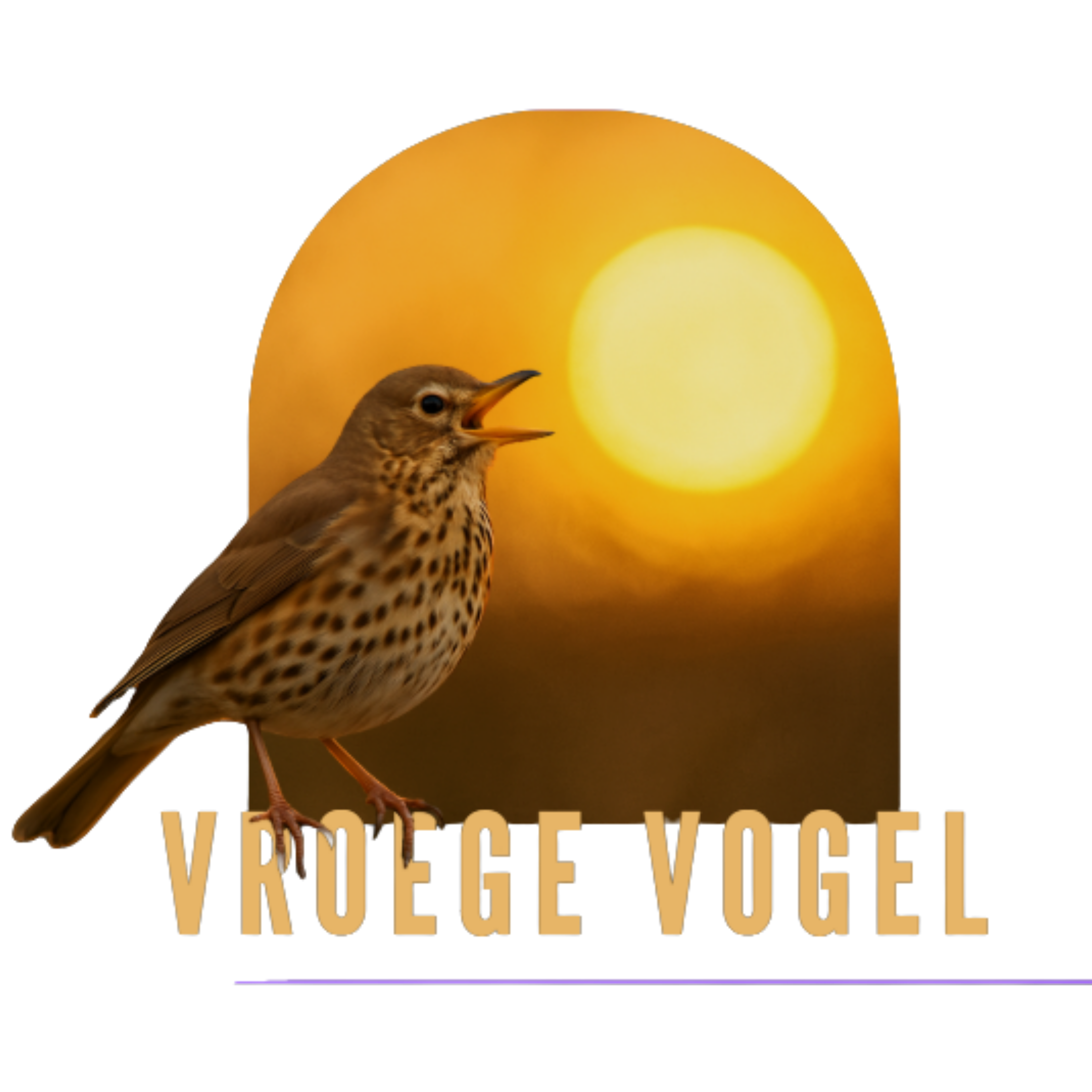 vroege_vogel_zonder_achtergrond_1850886259